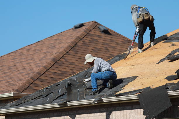 Best Storm Damage Roof Repair  in Nazareth, PA